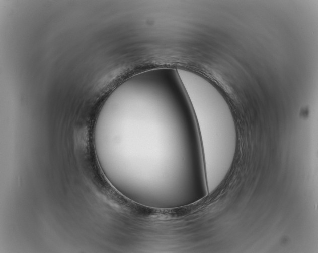 X0000090710211200707200959