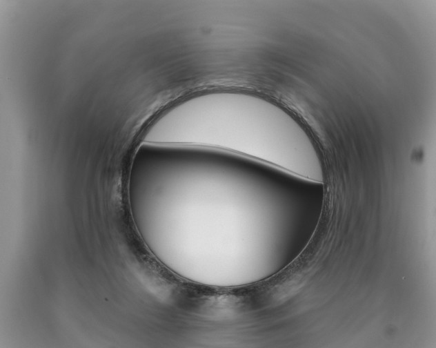 X0000090710212200707200959