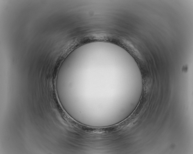 X0000090710213200707200959