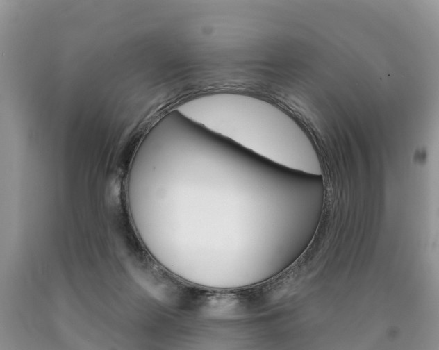 X0000090710214200707200959