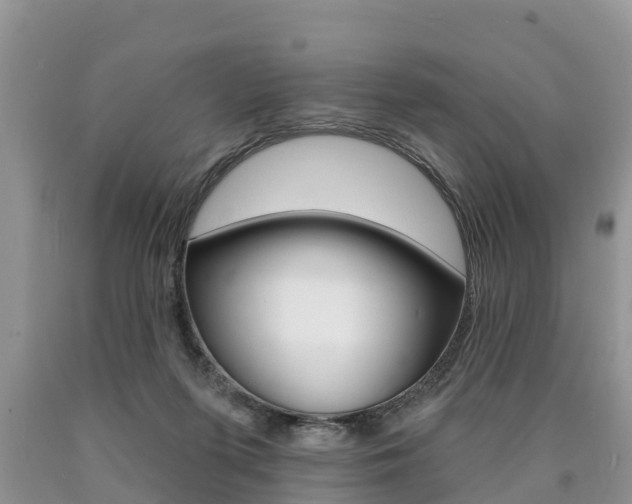 X0000090710215200707200959