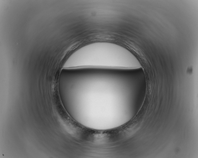 X0000090710216200707200959