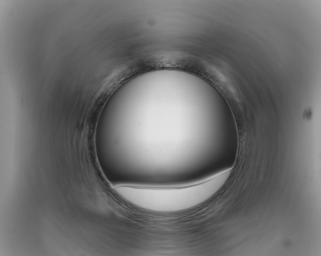 X0000090710217200707200959