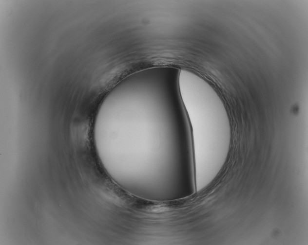 X0000090710219200707200959