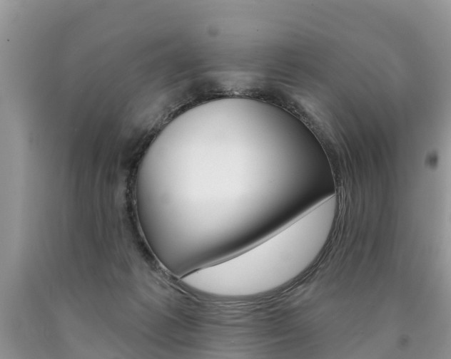 X0000090710221200707200959