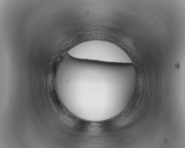 X0000090710222200707200959