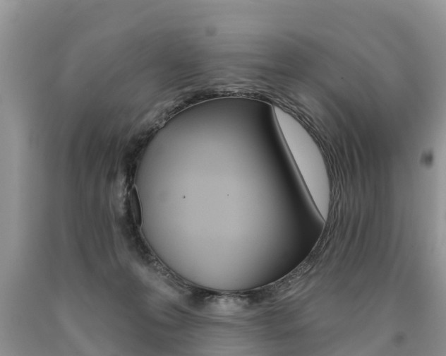 X0000090710223200707200959