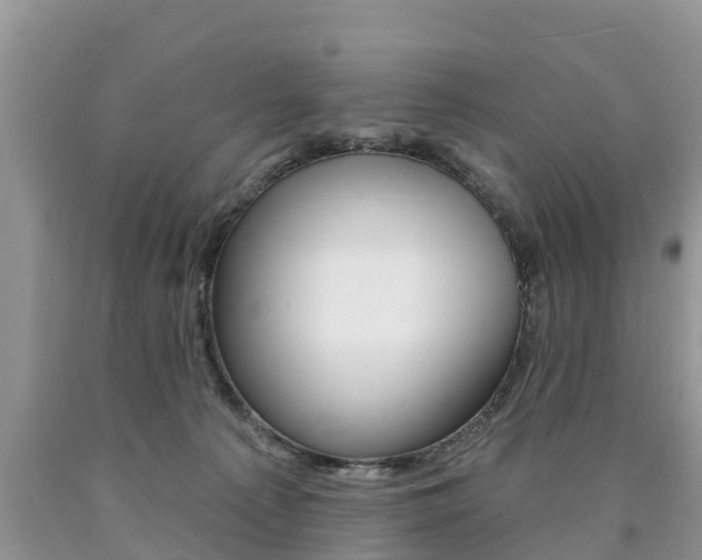 X0000090710225200707200959