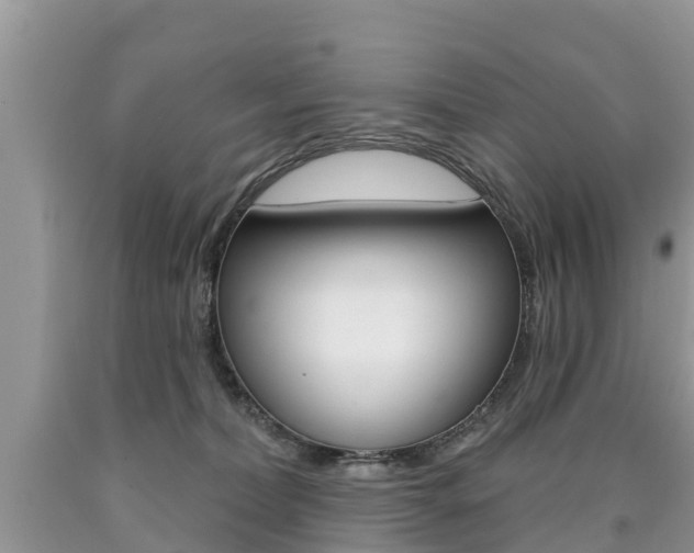 X0000090710228200707200959