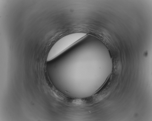 X0000090710231200707200959