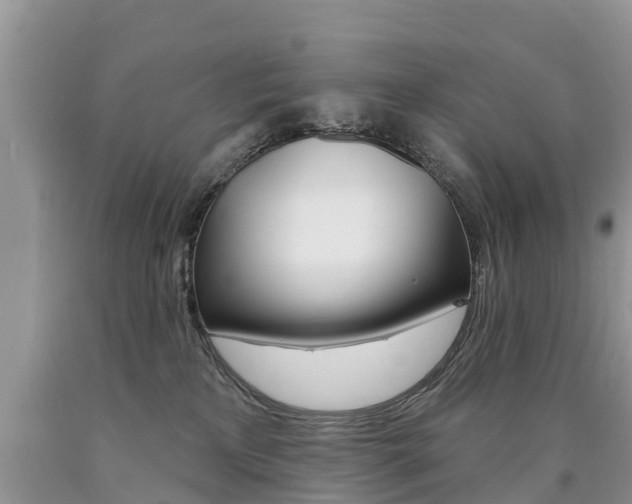 X0000090710233200707200959