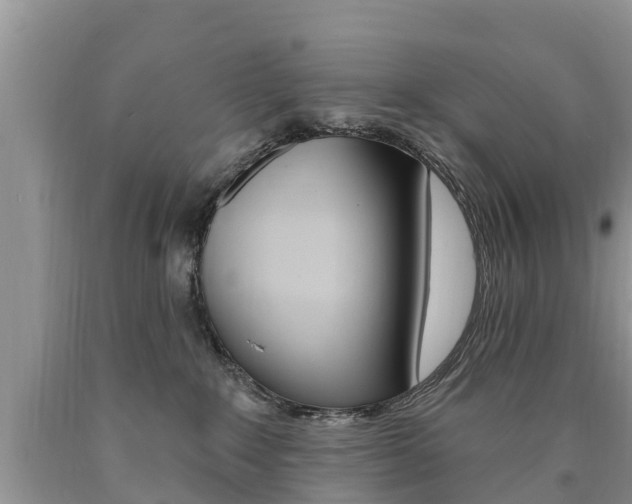 X0000090710235200707200959