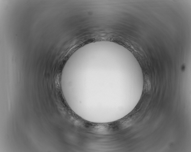 X0000090710236200707200959