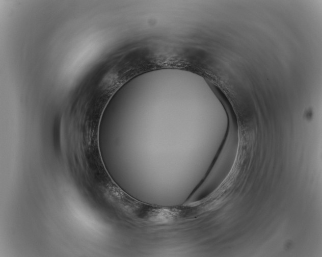 X0000090710239200707200958
