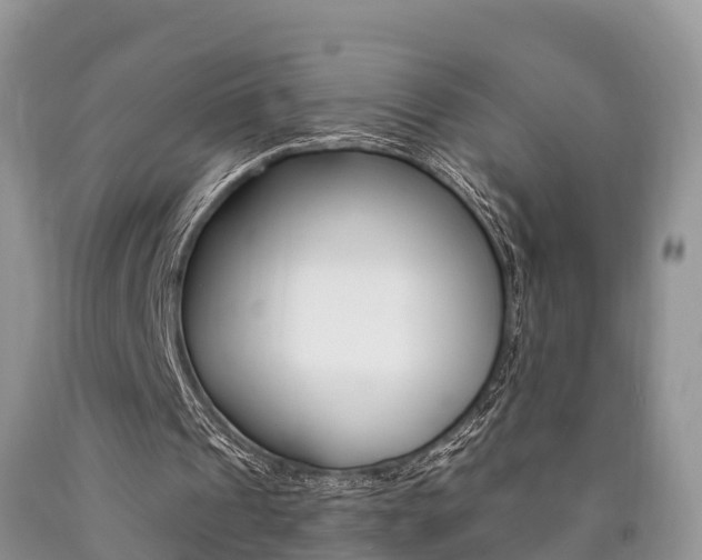 X0000090710241200707200957