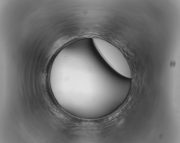 X0000090710242200707200957