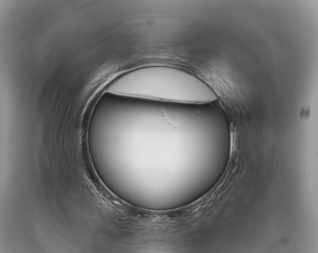 X0000090710243200707200958