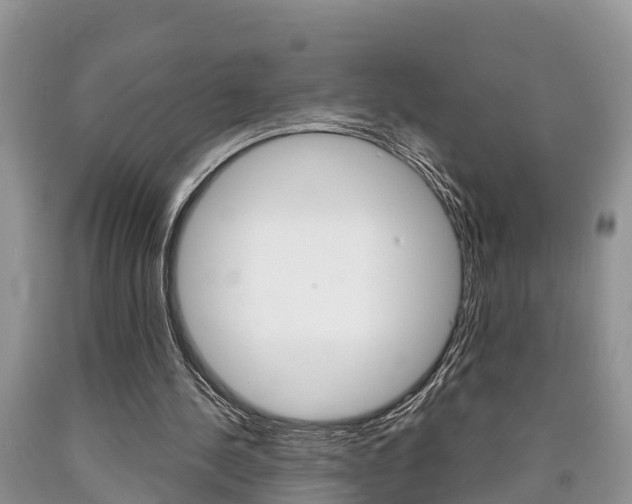 X0000090710244200707200958