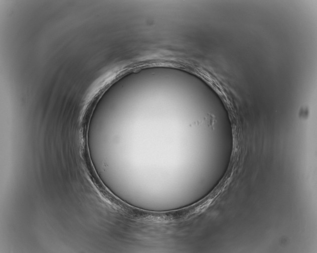X0000090710245200707200958