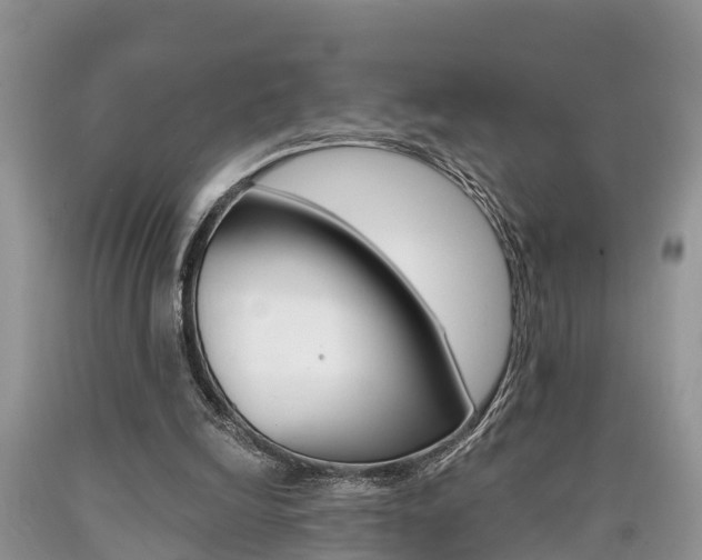 X0000090710246200707200958
