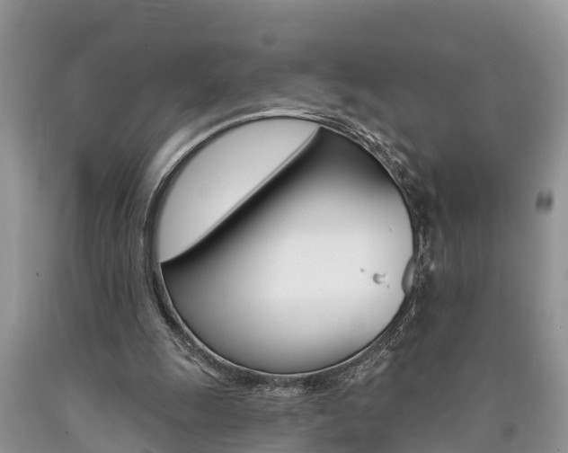 X0000090710247200707200958