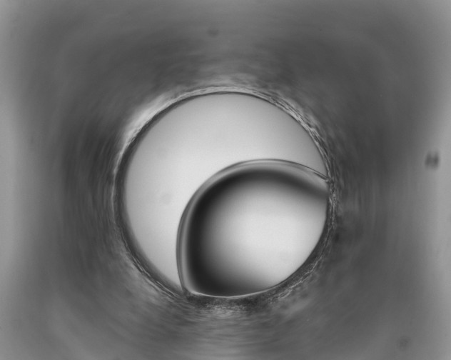 X0000090710248200707200958