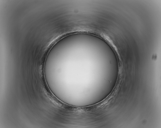 X0000090710249200707200958