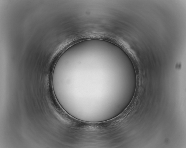 X0000090710250200707200958