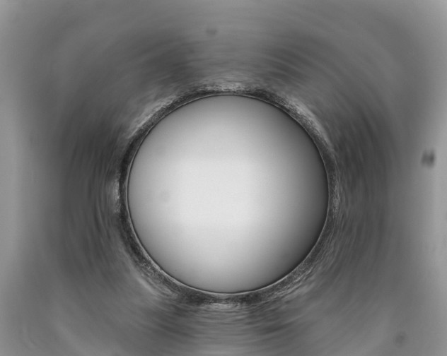 X0000090710251200707200958