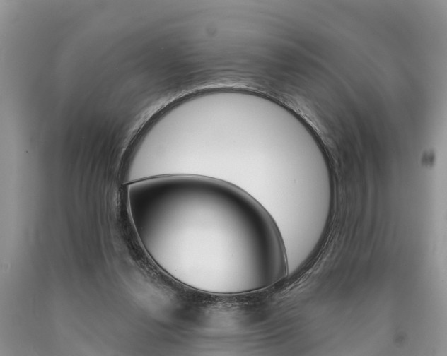 X0000090710252200707200958