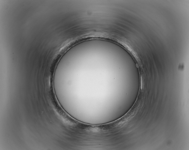 X0000090710253200707200958