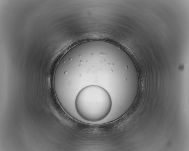 X0000090710254200707200958