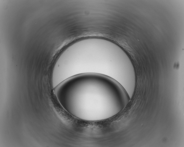 X0000090710256200707200958