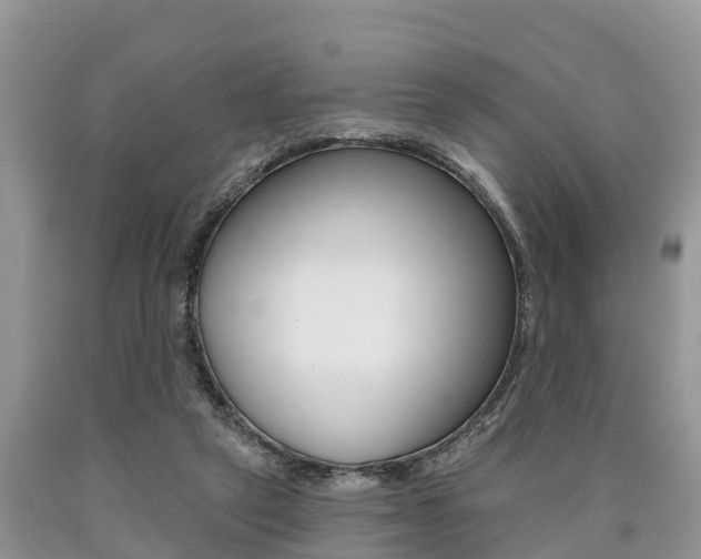 X0000090710257200707200958