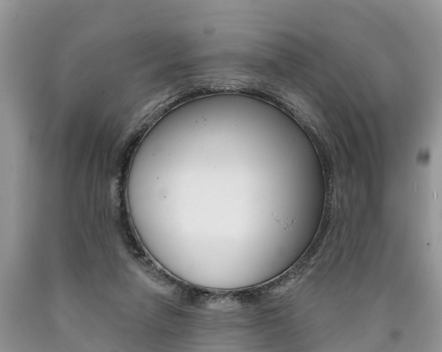 X0000090710258200707200958