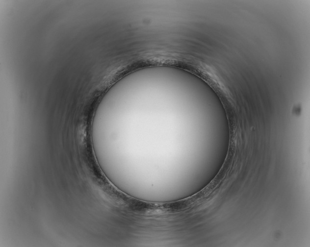 X0000090710259200707200958