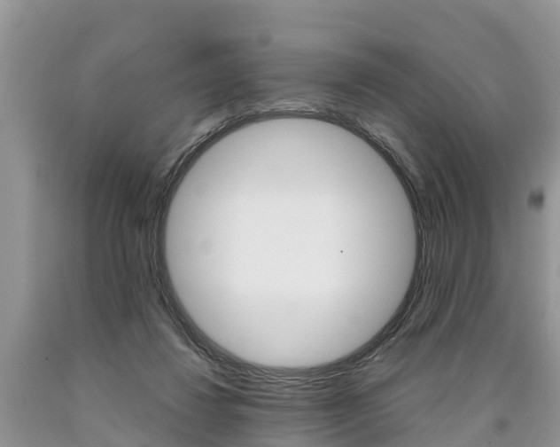 X0000090710260200707200958