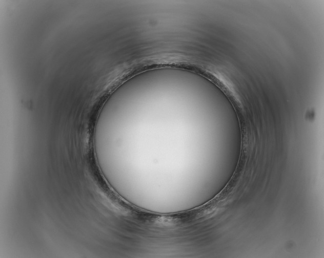 X0000090710261200707200958