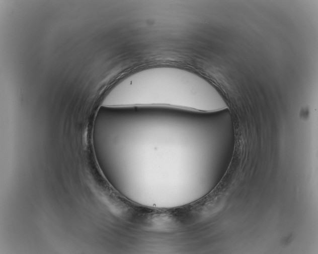 X0000090710262200707200958