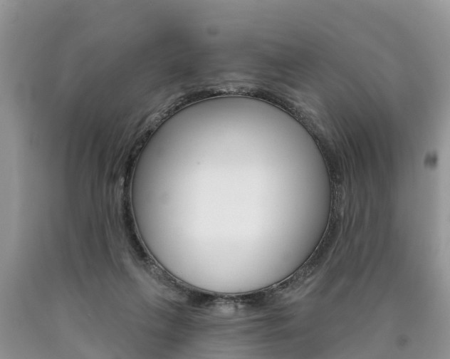 X0000090710263200707200958