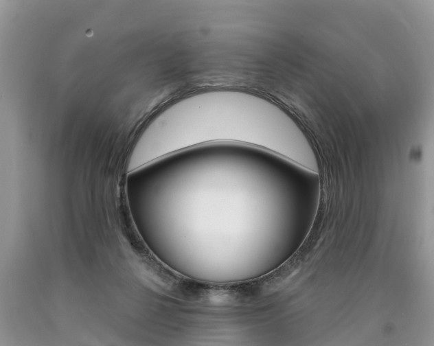 X0000090710264200707200958