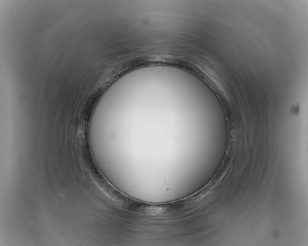 X0000090710265200707200958