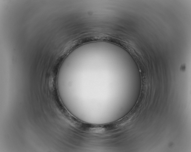 X0000090710266200707200958