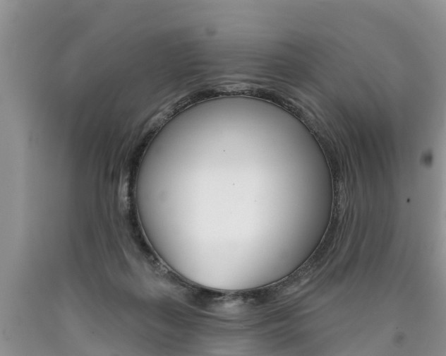 X0000090710267200707200958