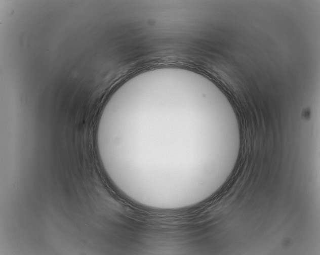 X0000090710268200707200958