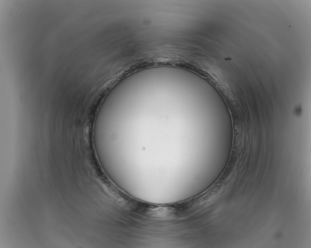 X0000090710269200707200958