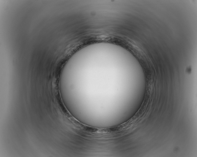 X0000090710270200707200958
