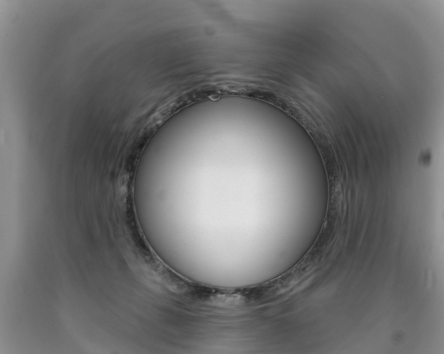 X0000090710271200707200958