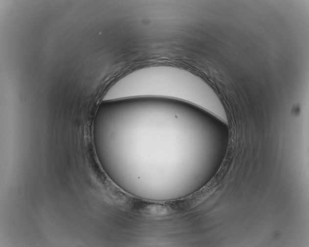 X0000090710272200707200958