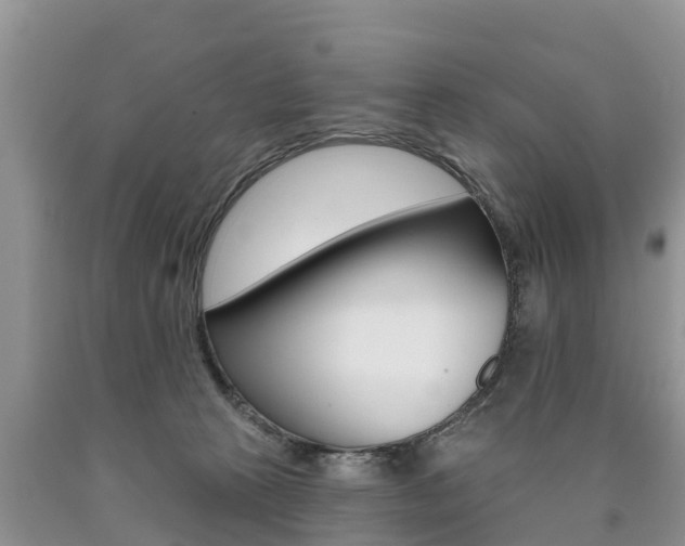 X0000090710273200707200958